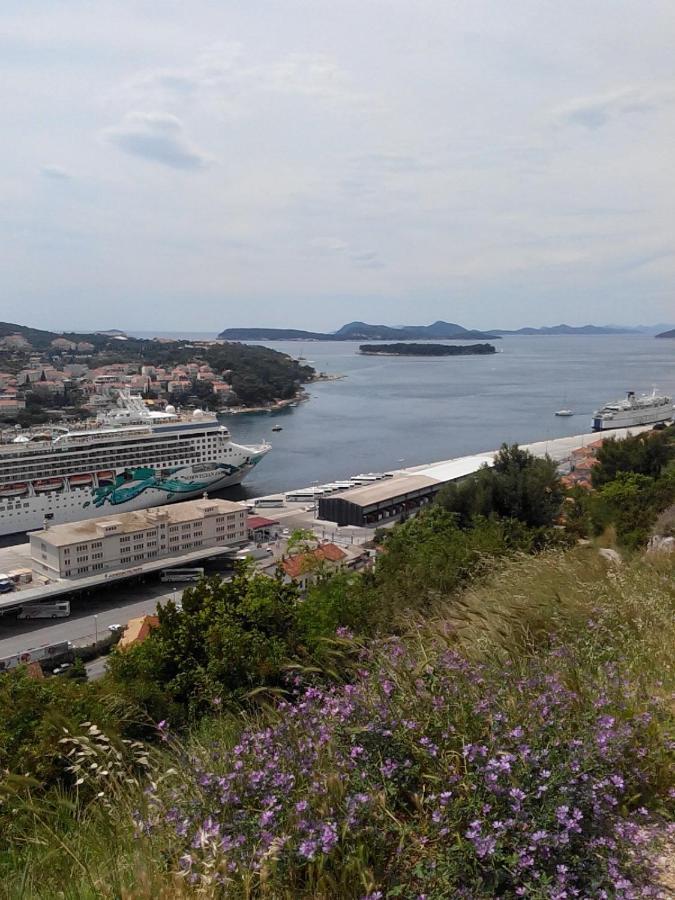 Guest House Taira Dubrovnik Exterior foto